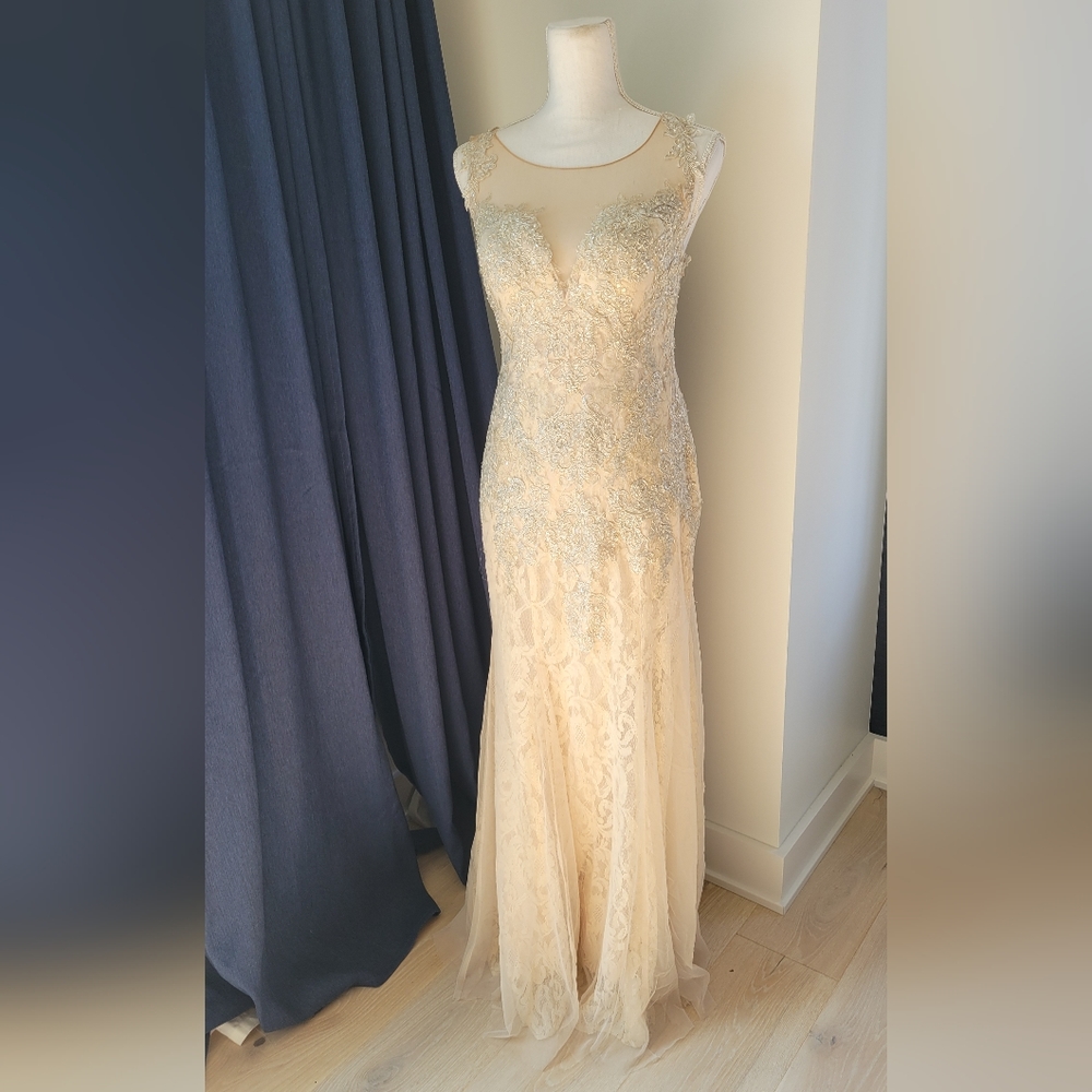 DAVIDS BRIDAL | Champagne Lace Beaded Dress - Picture 4 of 16